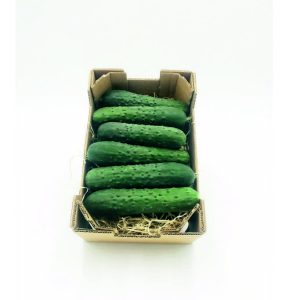 PEPINO FRANCES (2Kg)