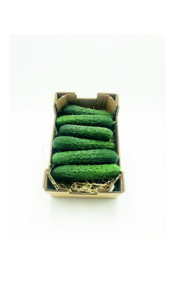 PEPINO FRANCES (2Kg)