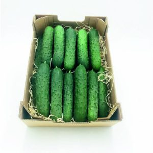 PEPINO FRANCES (4kg)