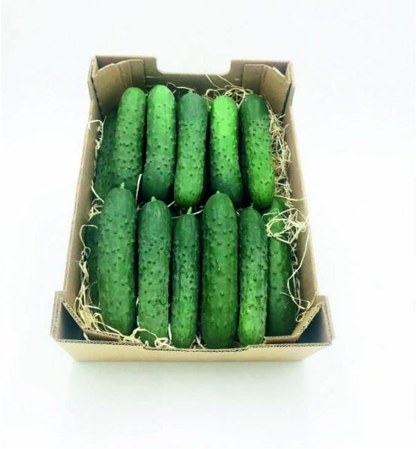 PEPINO FRANCES (4kg)