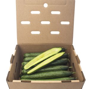 Caja de pepino largo Bio