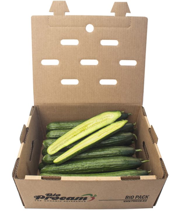 Caja de pepino largo Bio