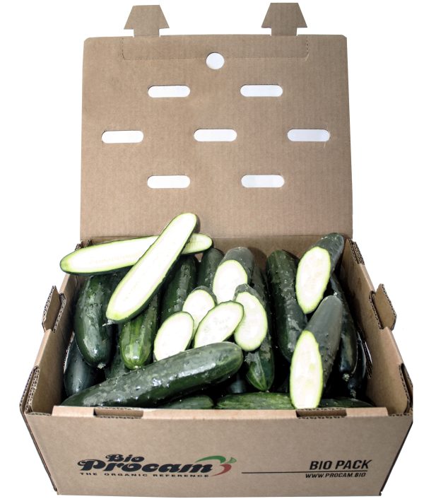 Caja de pepino corto Bio