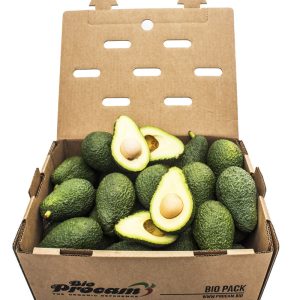 Caja de Aguacate Hass