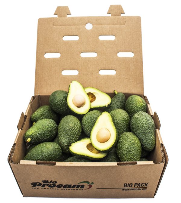 Caja de Aguacate Hass