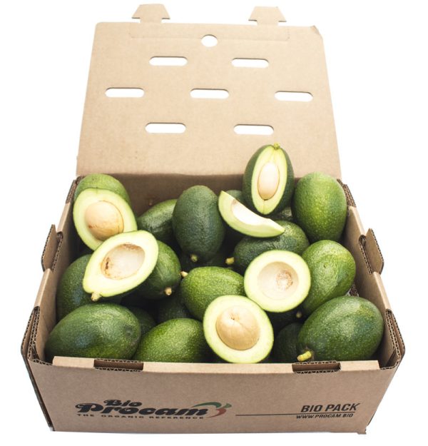 Caja de Aguacate bacon