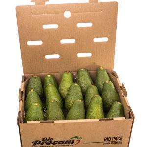 Caja de Aguacate fuerte