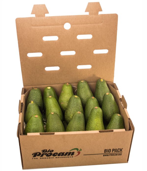 Caja de Aguacate fuerte