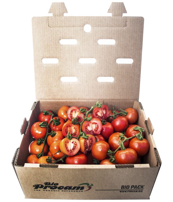 Caja de tomate de tama