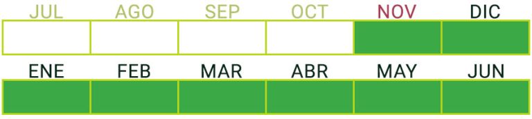 Calendario de Producción de Judía