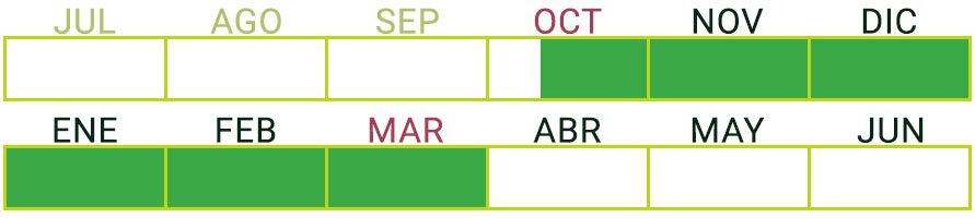 Calendario de Producción de pimiento