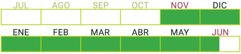 Calendario de Producción de Tomate Marmande