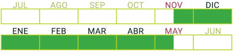 Calendario de Producción de Tomate de rama