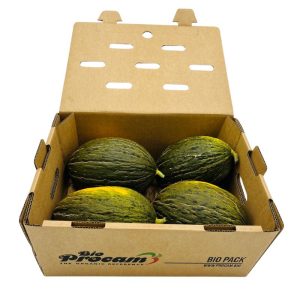 Melones “Piel de Sapo” (7-8kg)