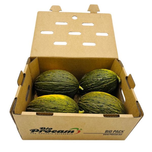 Melones “Piel de Sapo” (7-8kg)