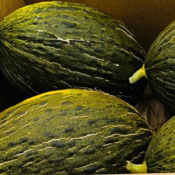 Melones “Piel de Sapo” (7-8kg) - Imagen 4