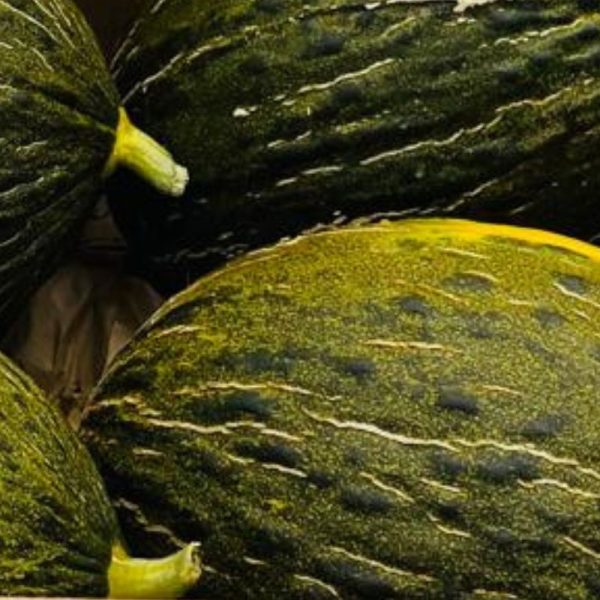 Melones “Piel de Sapo” (7-8kg) - Imagen 2