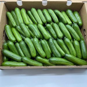 Pepino Snack (3,5kg)
