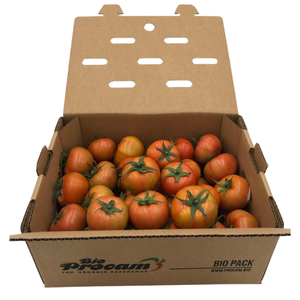 Tomate Beef (8Kg)