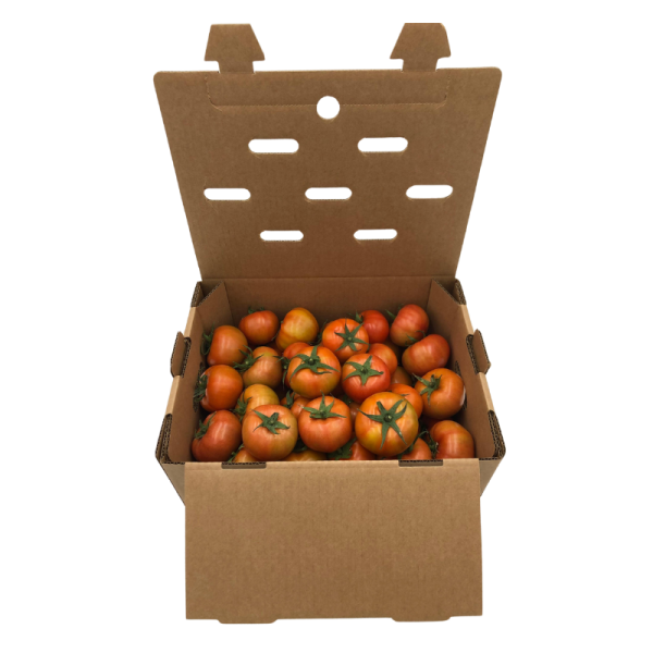 Tomate Beef (8Kg) - Imagen 5