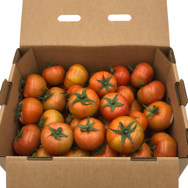 Tomate Beef (8Kg) - Imagen 3