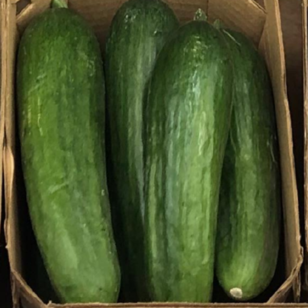 Pepino Snack (2kg) - Imagen 2