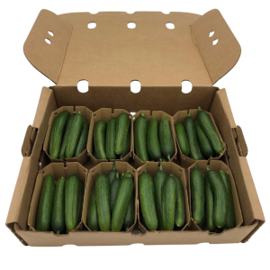 Pepino Snack 2kg - 8 tarrinas